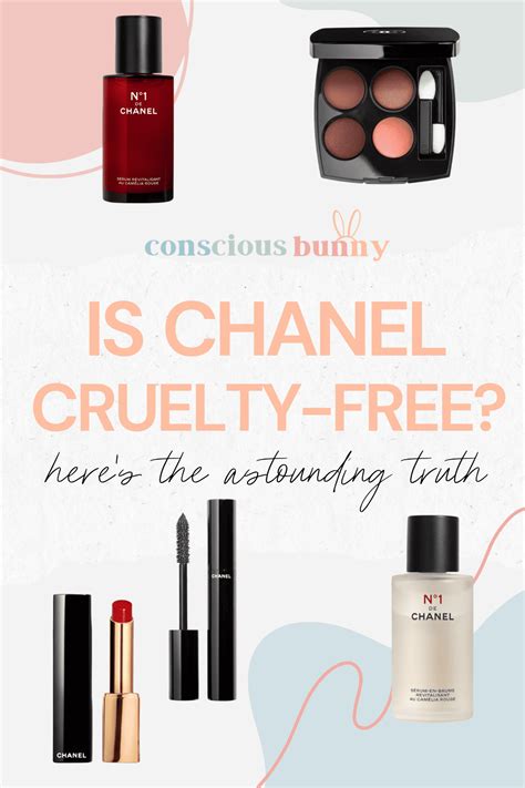 chanel animal testing 2022|is Chanel cruelty free.